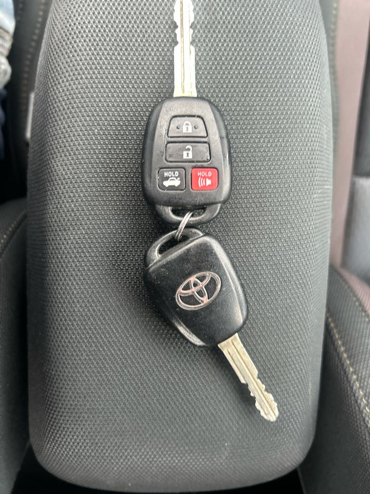 Toyota Corolla XLE CVT (Natl) 2019