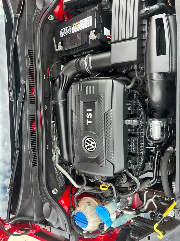 Volkswagen Jetta Sedan 4dr Auto 1.8T Sport PZEV 2016