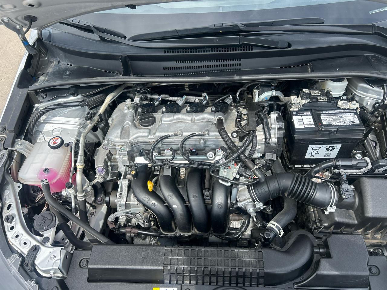 Toyota Corolla LE CVT (Natl) 2022