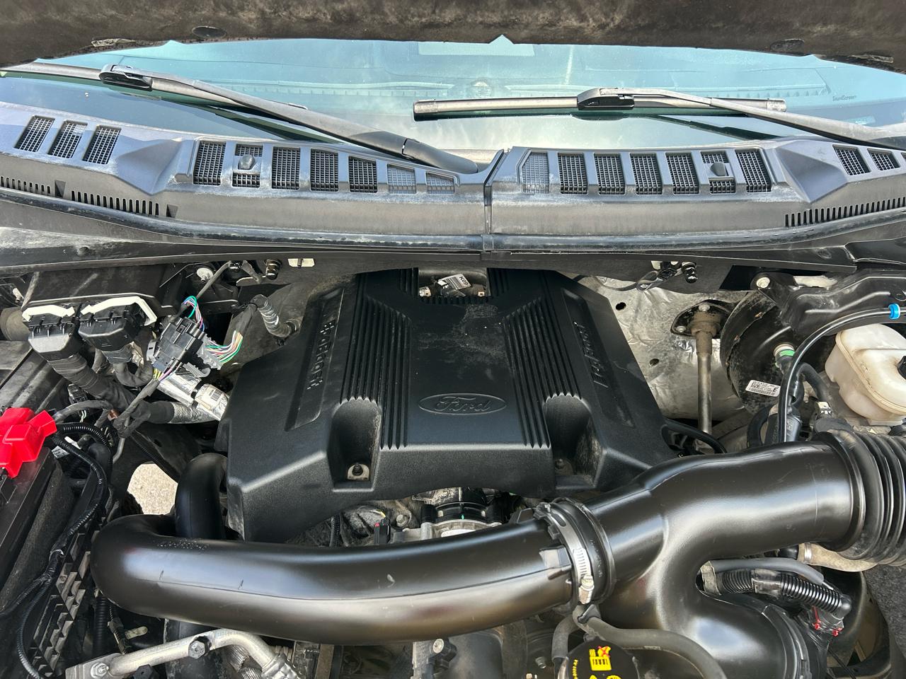 Ford F-150 4WD SuperCrew 145" XLT 2019