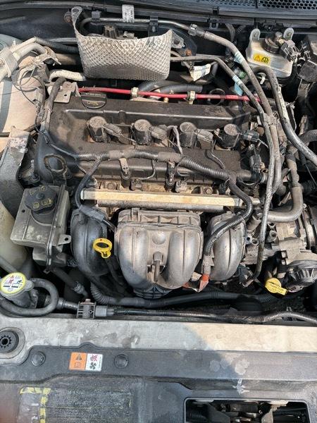Ford Focus SE Coupe 2008