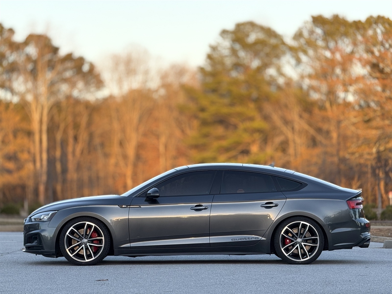 Audi S5 Sportback  2018