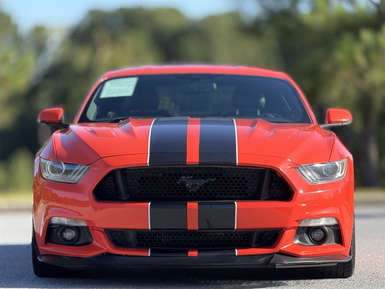 2015 Ford Mustang GT Premium photo 2