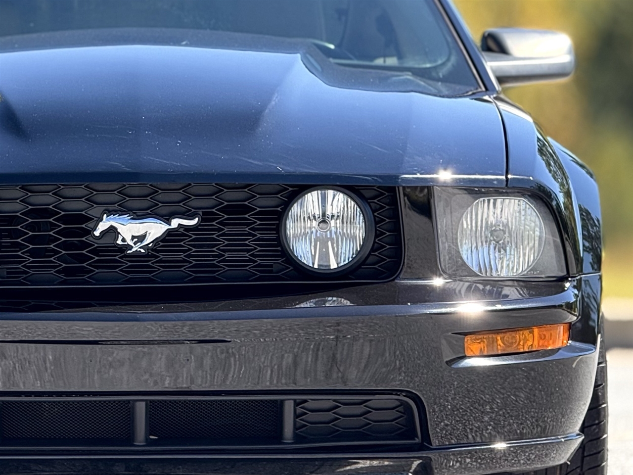Ford Mustang  2007
