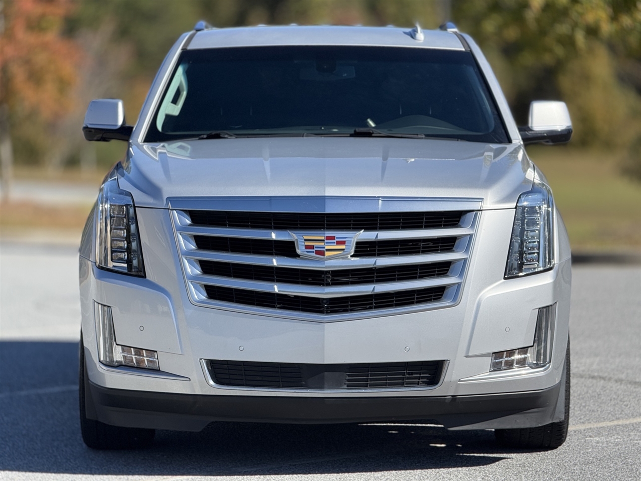 2016 Cadillac Escalade Base photo 2