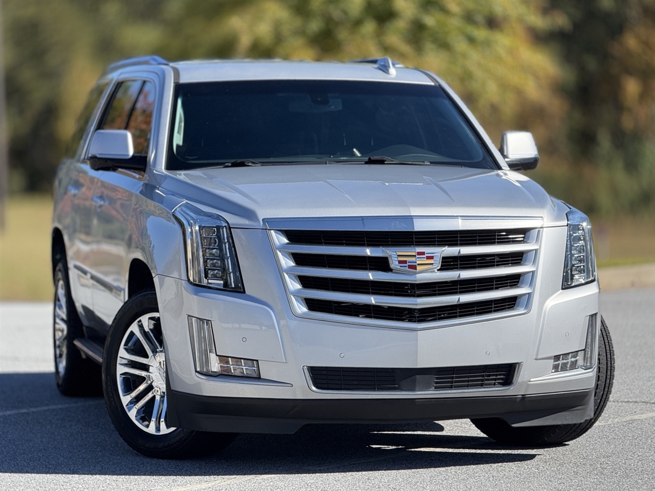 2016 Cadillac Escalade Base photo 3