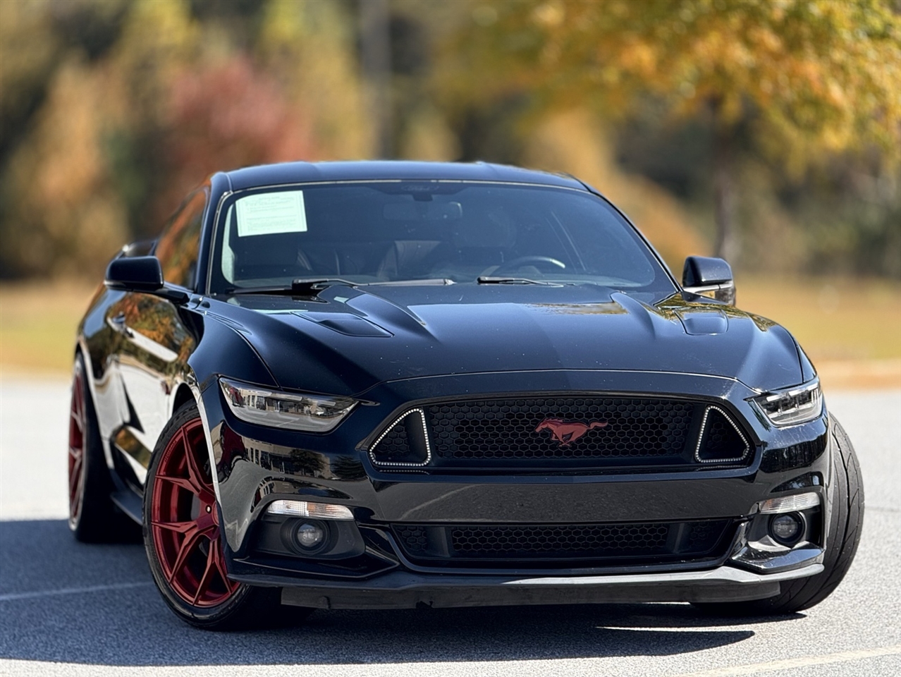 2016 Ford Mustang GT Premium photo 3