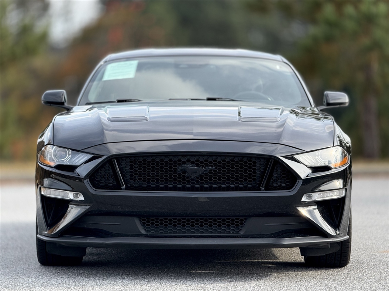 2019 Ford Mustang GT photo 2
