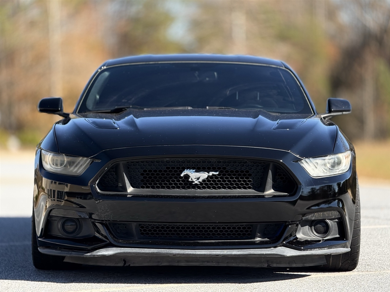 2016 Ford Mustang GT photo 2