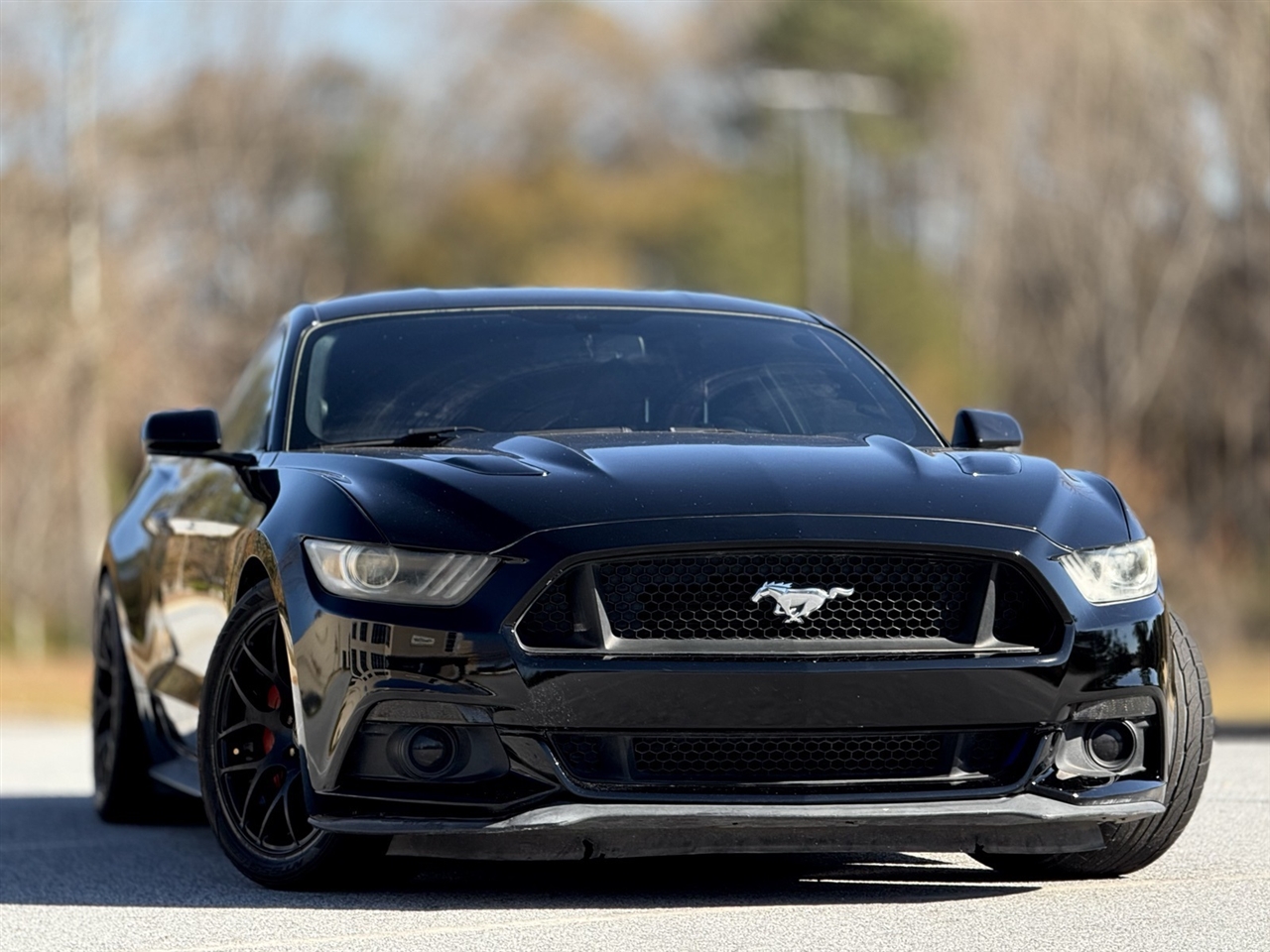 2016 Ford Mustang GT photo 3