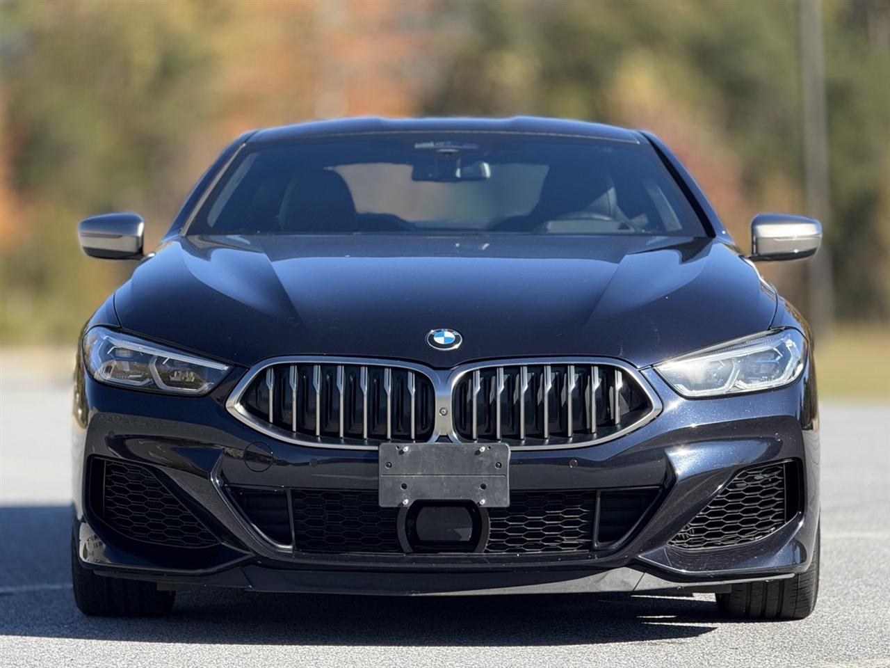 2019 Bmw 850i photo 2