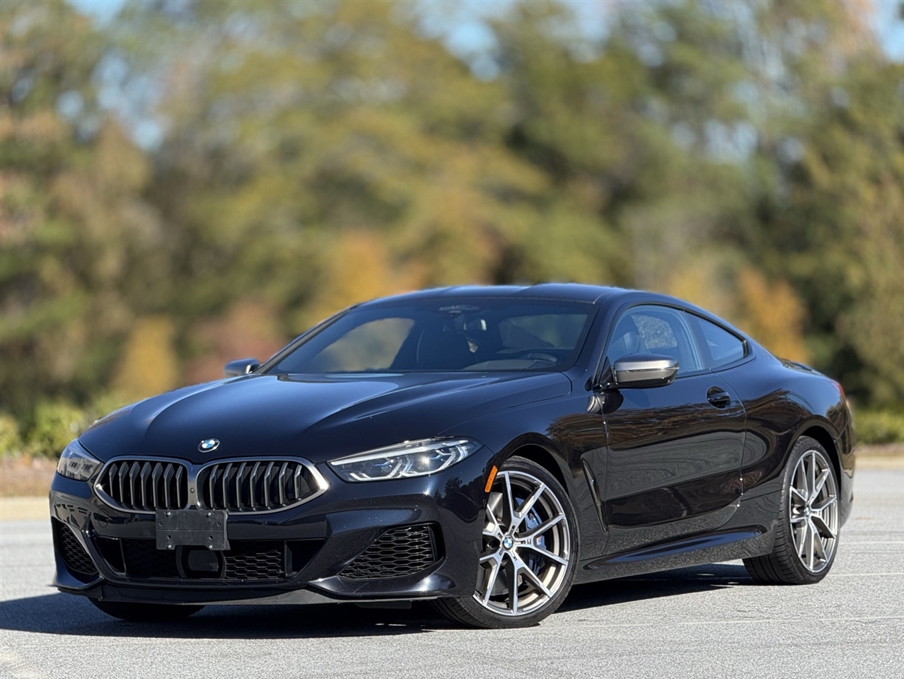 BMW 8 Series  2019
