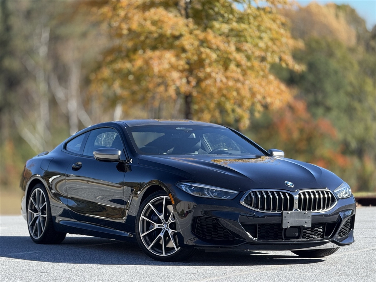 BMW 8 Series  2019