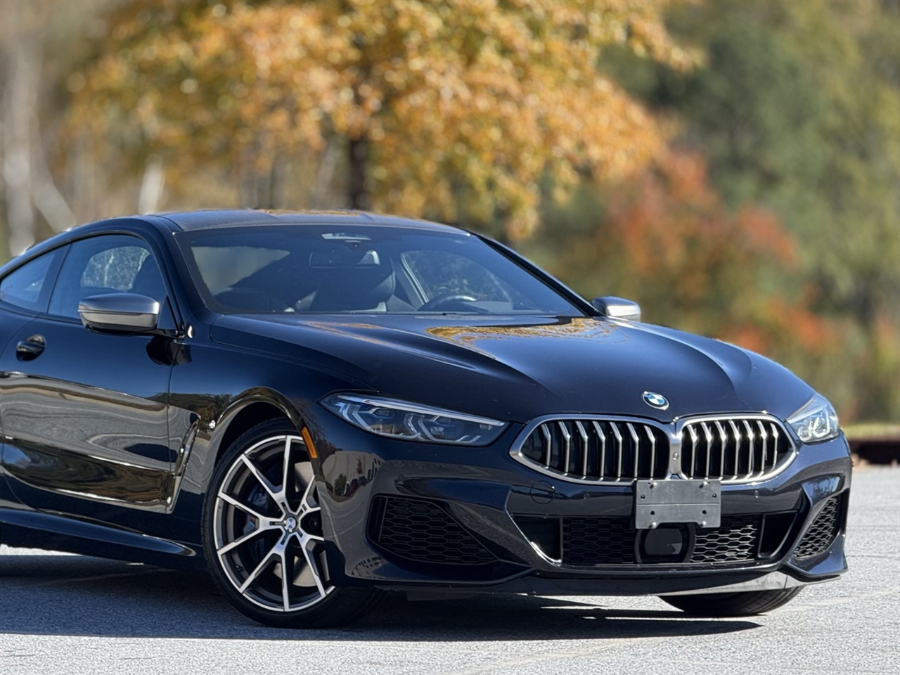 BMW 8 Series  2019