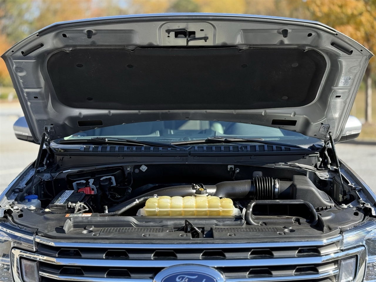 Ford Expedition  2020