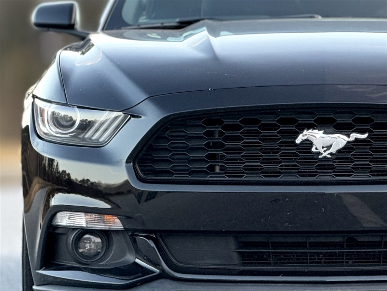 Ford Mustang  2015