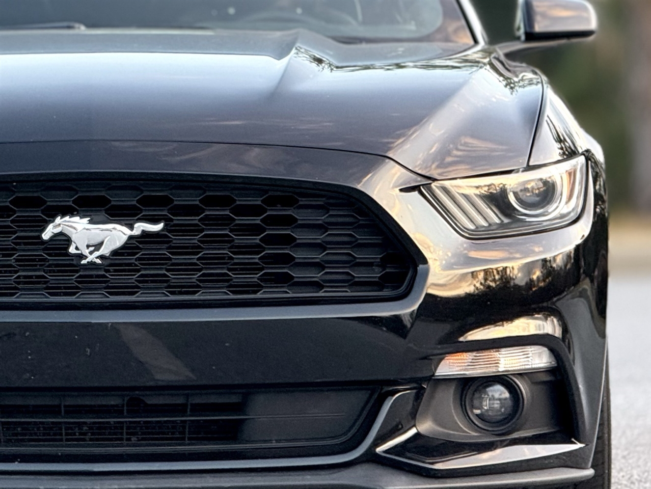 Ford Mustang  2015