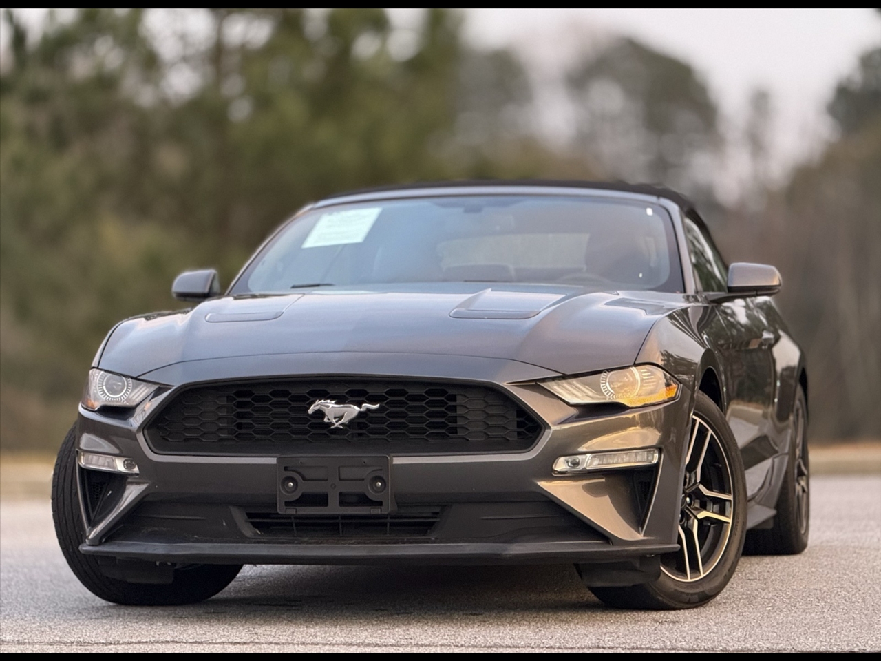 2019 Ford Mustang EcoBoost Premium