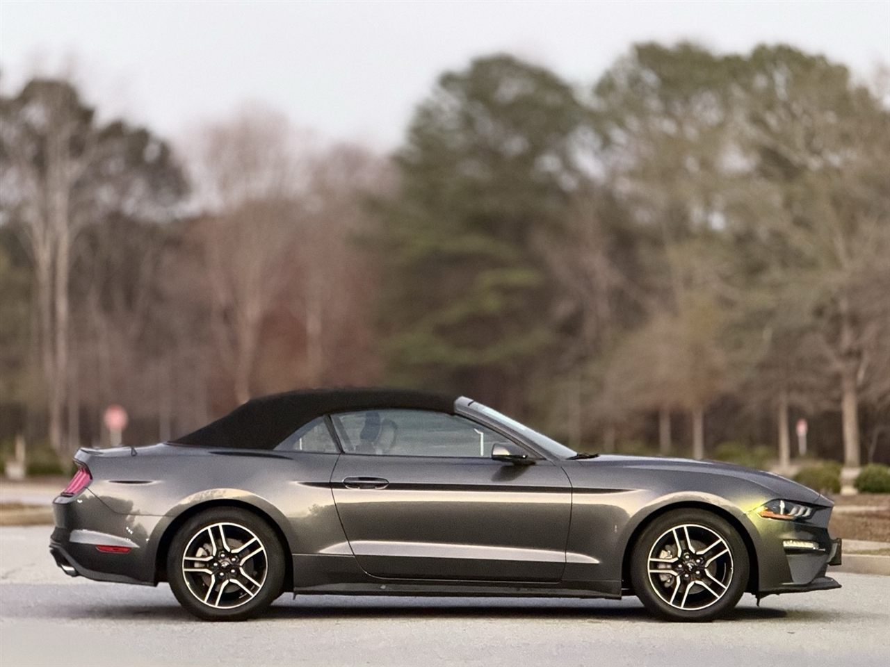 Ford Mustang  2019