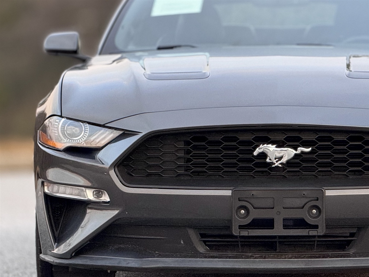 Ford Mustang  2019