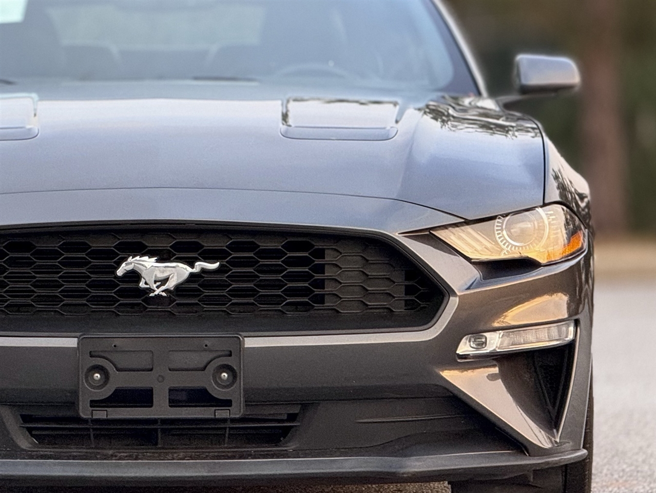 Ford Mustang  2019