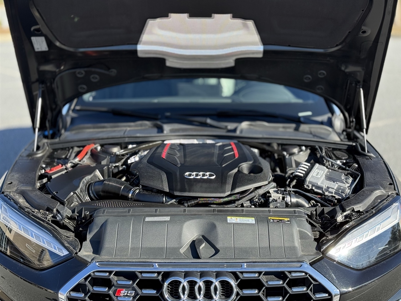 Audi S5 Cabriolet  2022