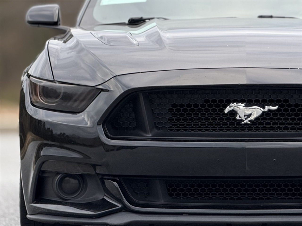 Ford Mustang  2015