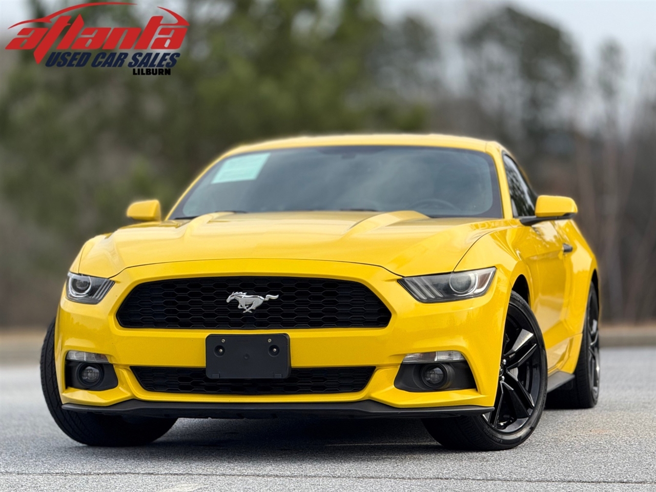 2015 Ford Mustang EcoBoost Premium's photo