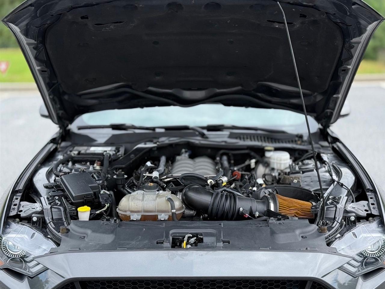 Ford Mustang  2019