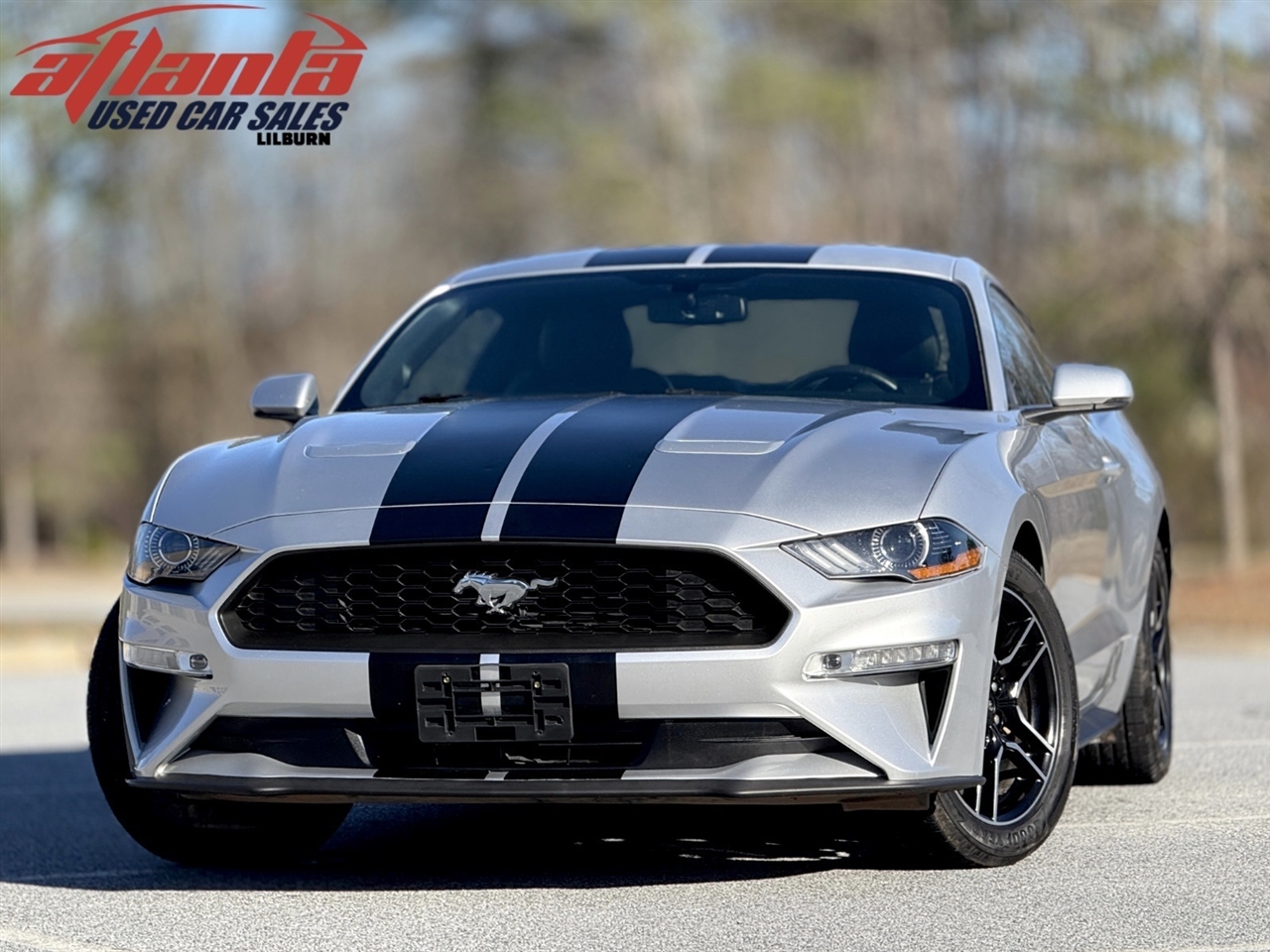 2019 Ford Mustang Mach 1's photo