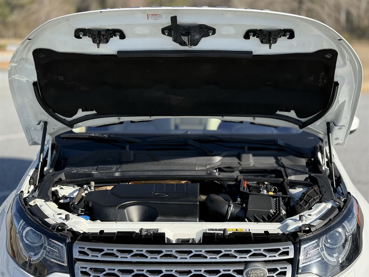 Land Rover Discovery Sport  2019