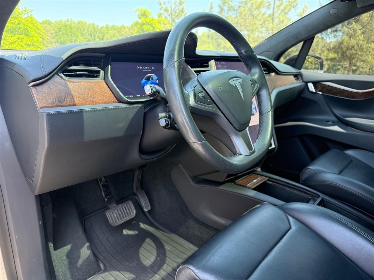 Tesla Model X  2019