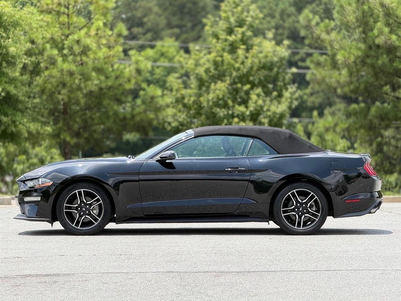 Ford Mustang  2019