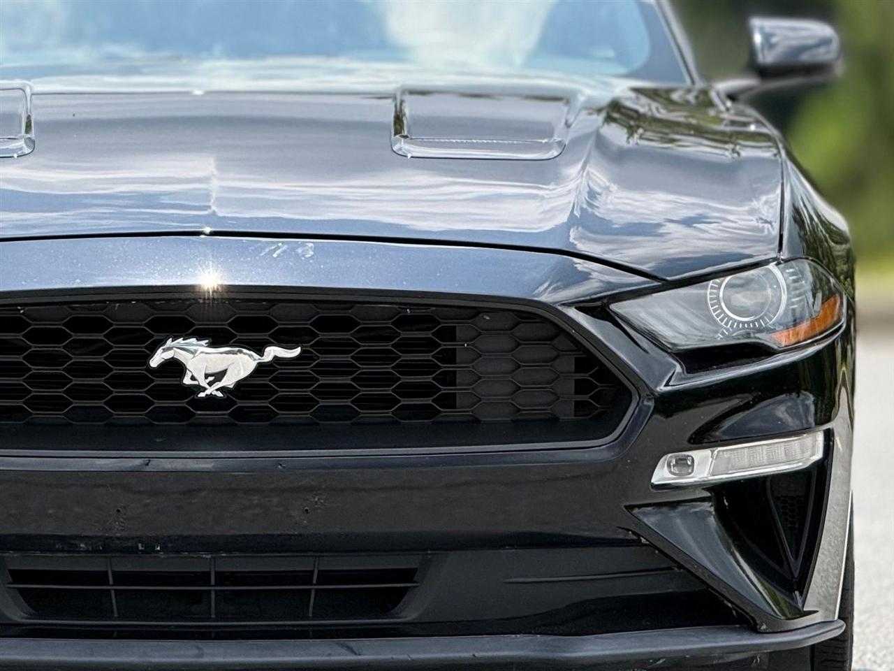 Ford Mustang  2019