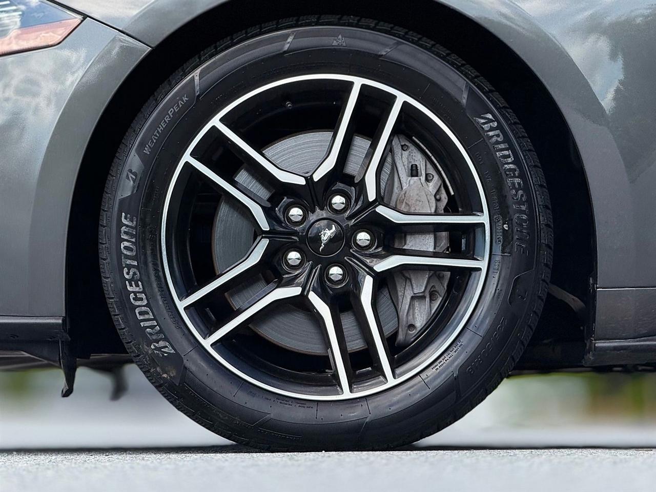 Ford Mustang  2019