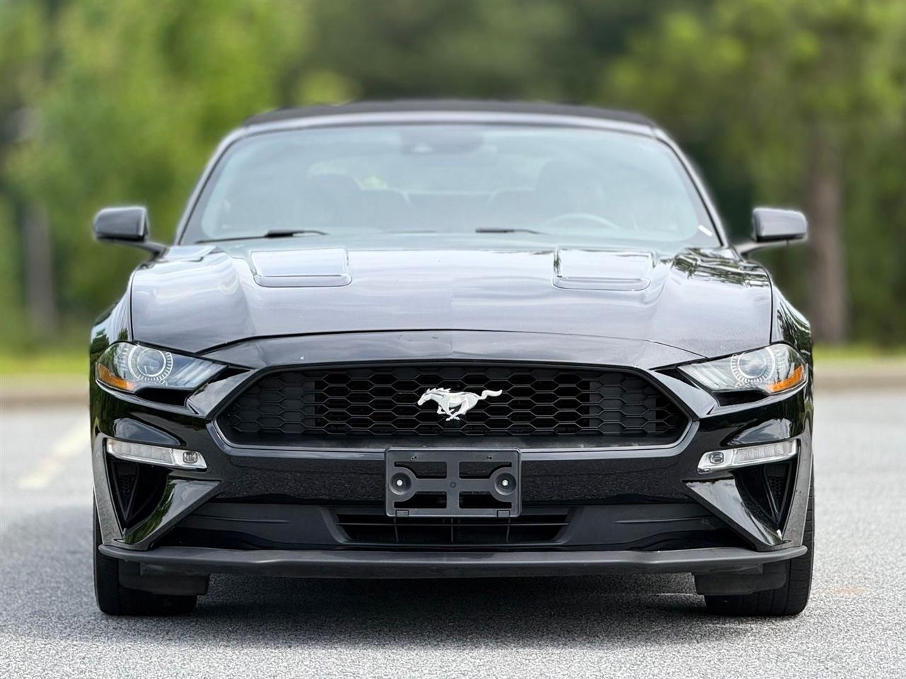 Ford Mustang  2019