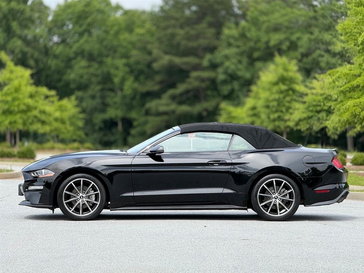 Ford Mustang  2019