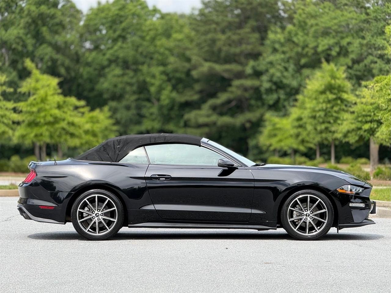 Ford Mustang  2019