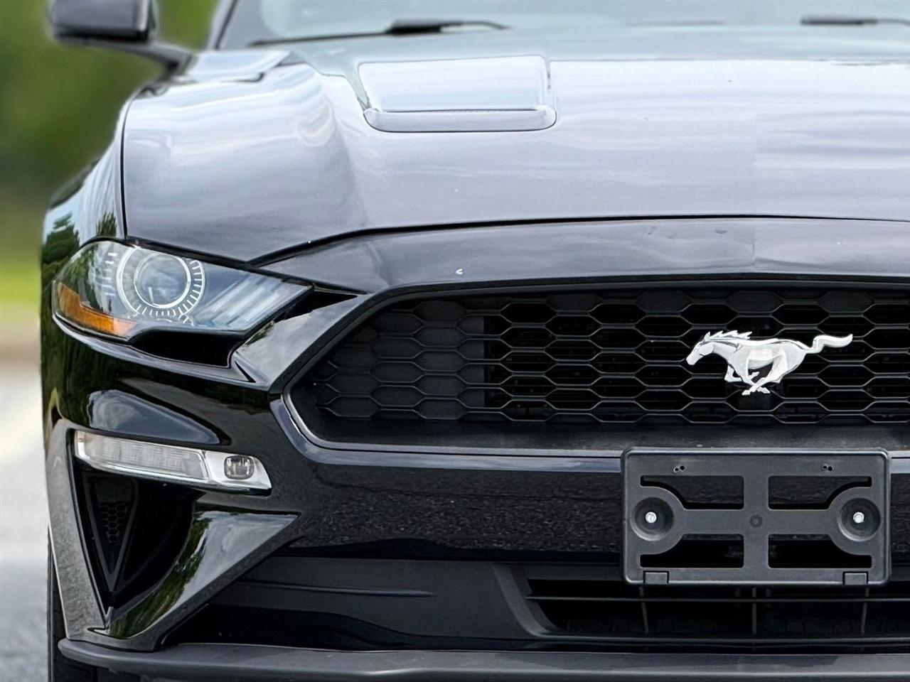 Ford Mustang  2019