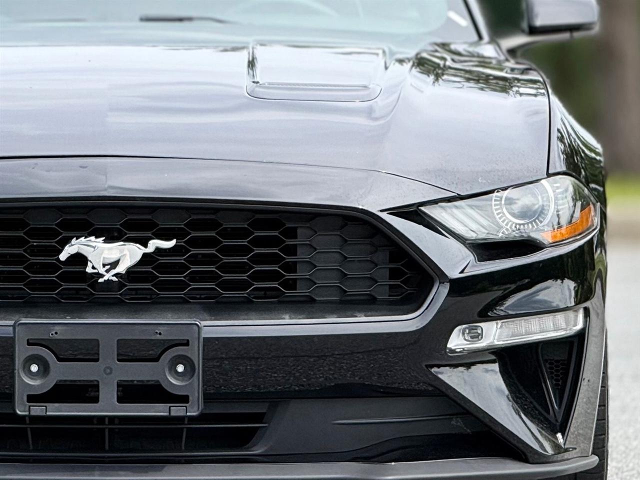 Ford Mustang  2019