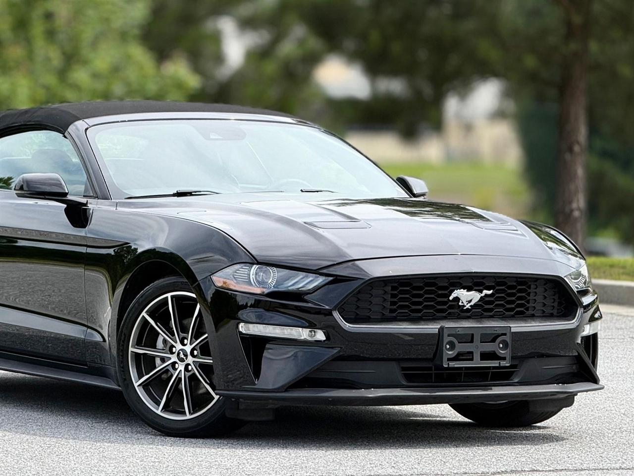 Ford Mustang  2019