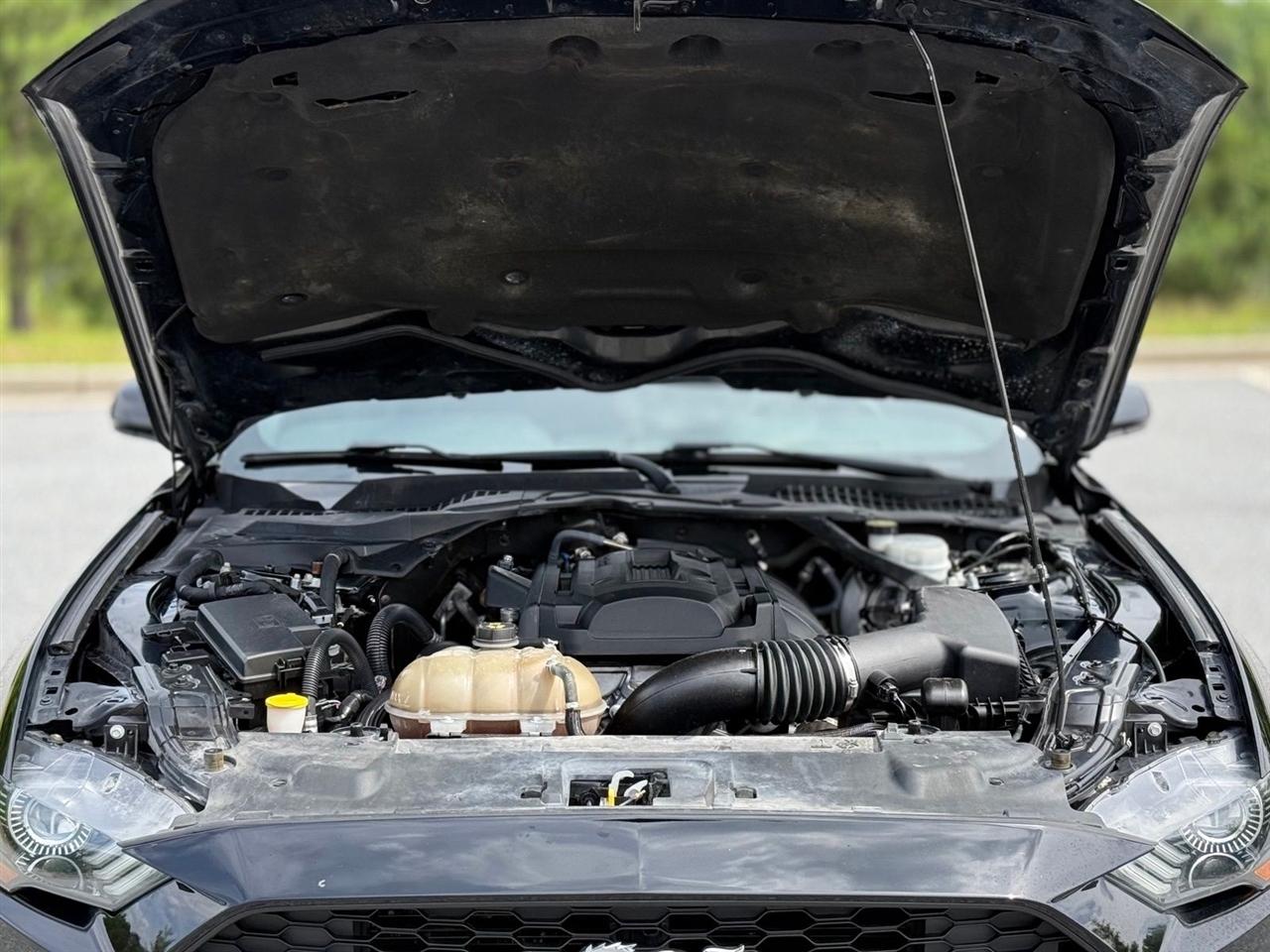 Ford Mustang  2019