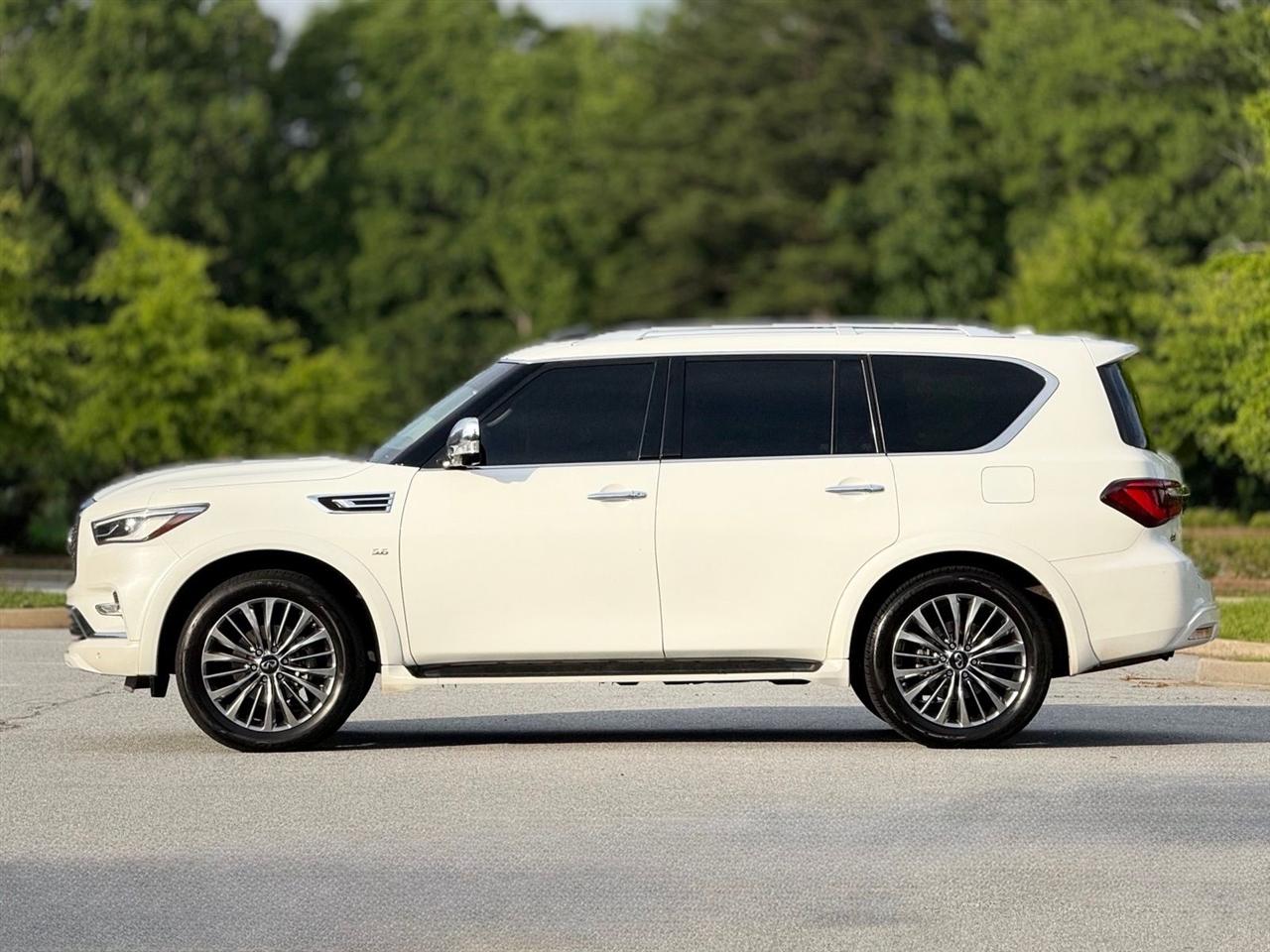 Infiniti QX80  2019