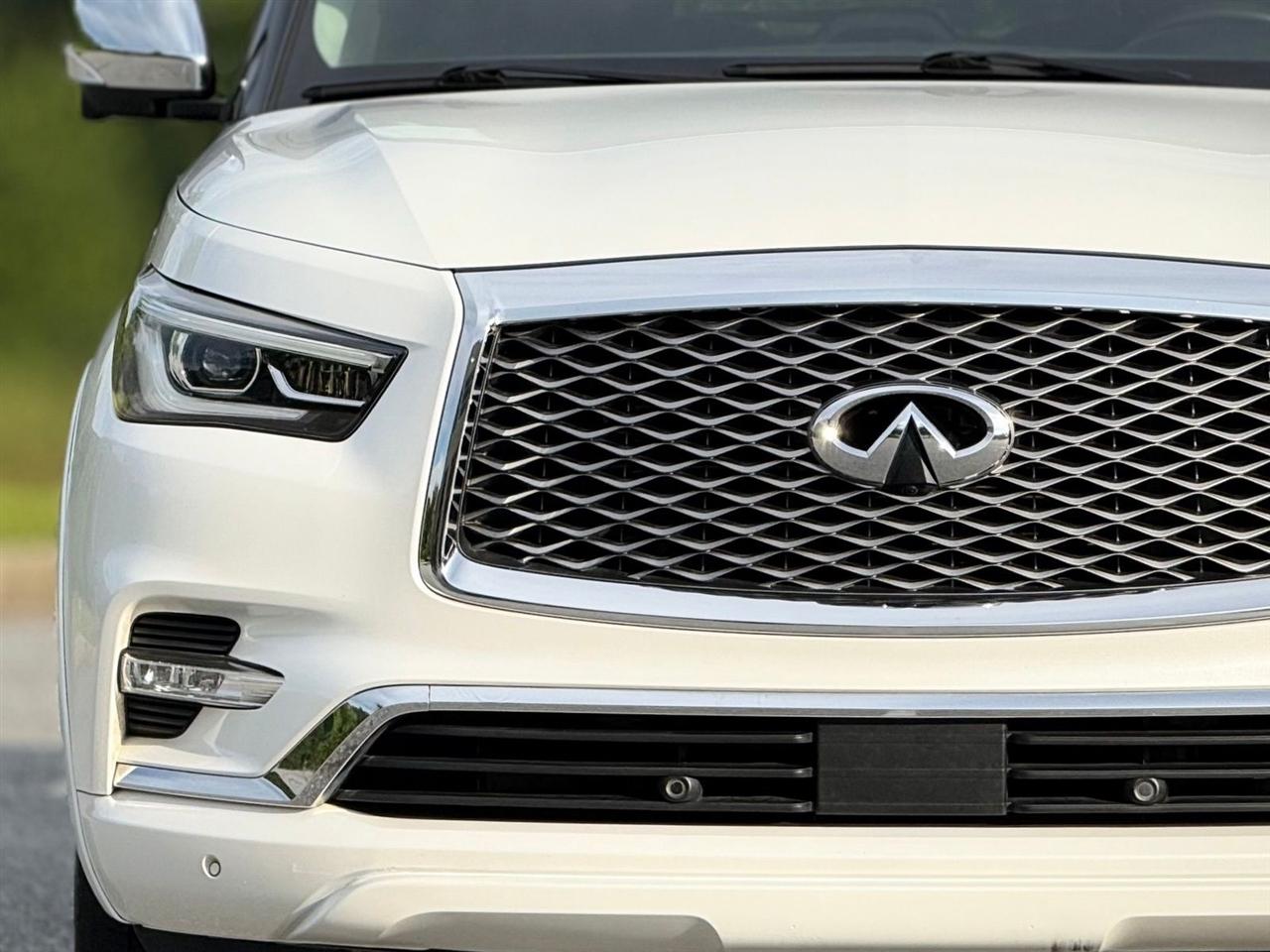 Infiniti QX80  2019