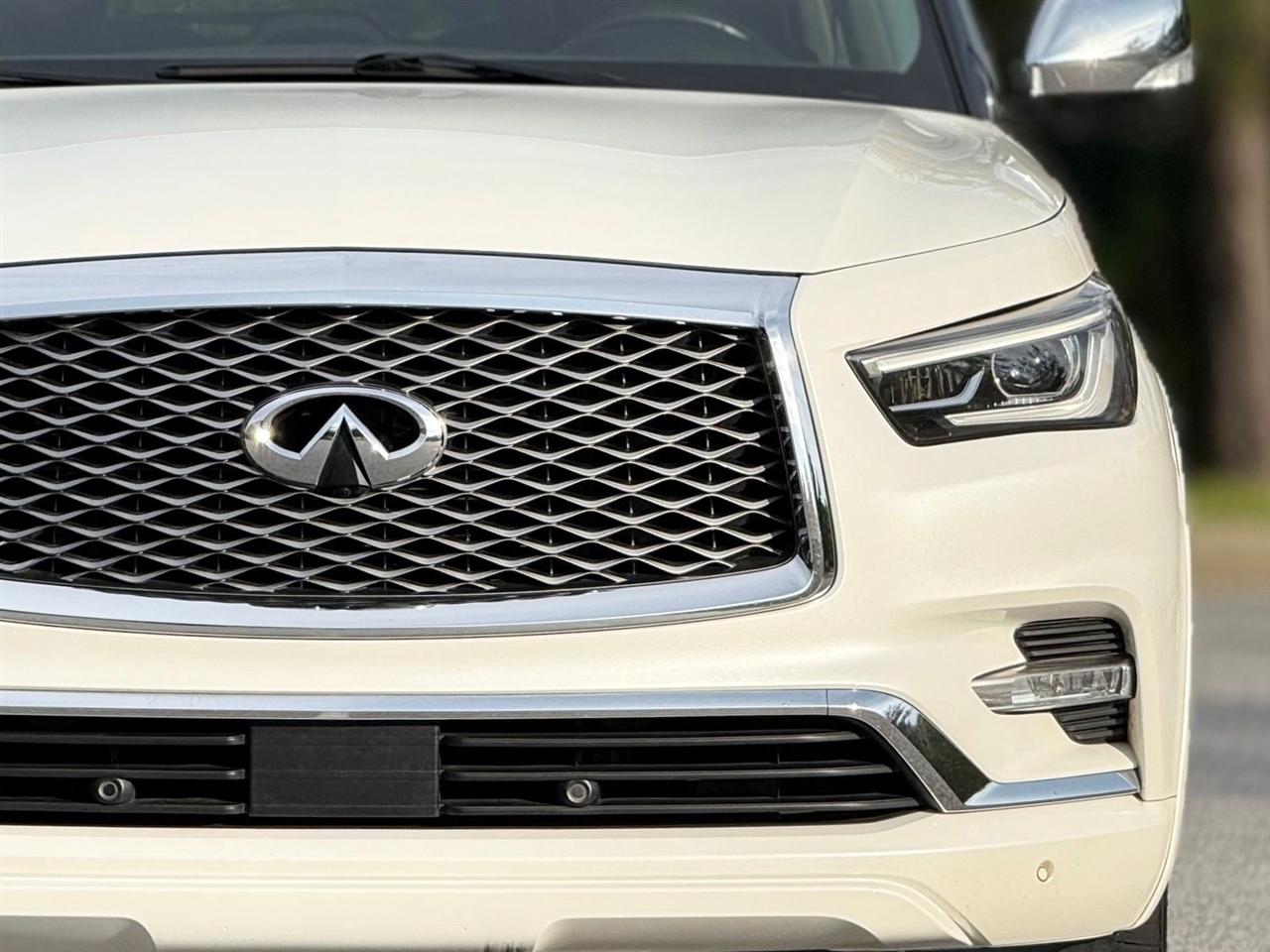 Infiniti QX80  2019