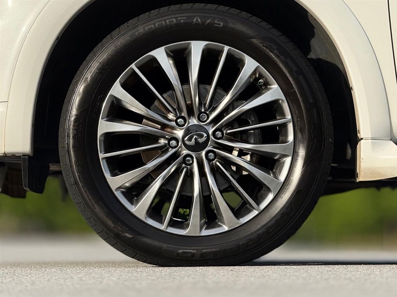 Infiniti QX80  2019
