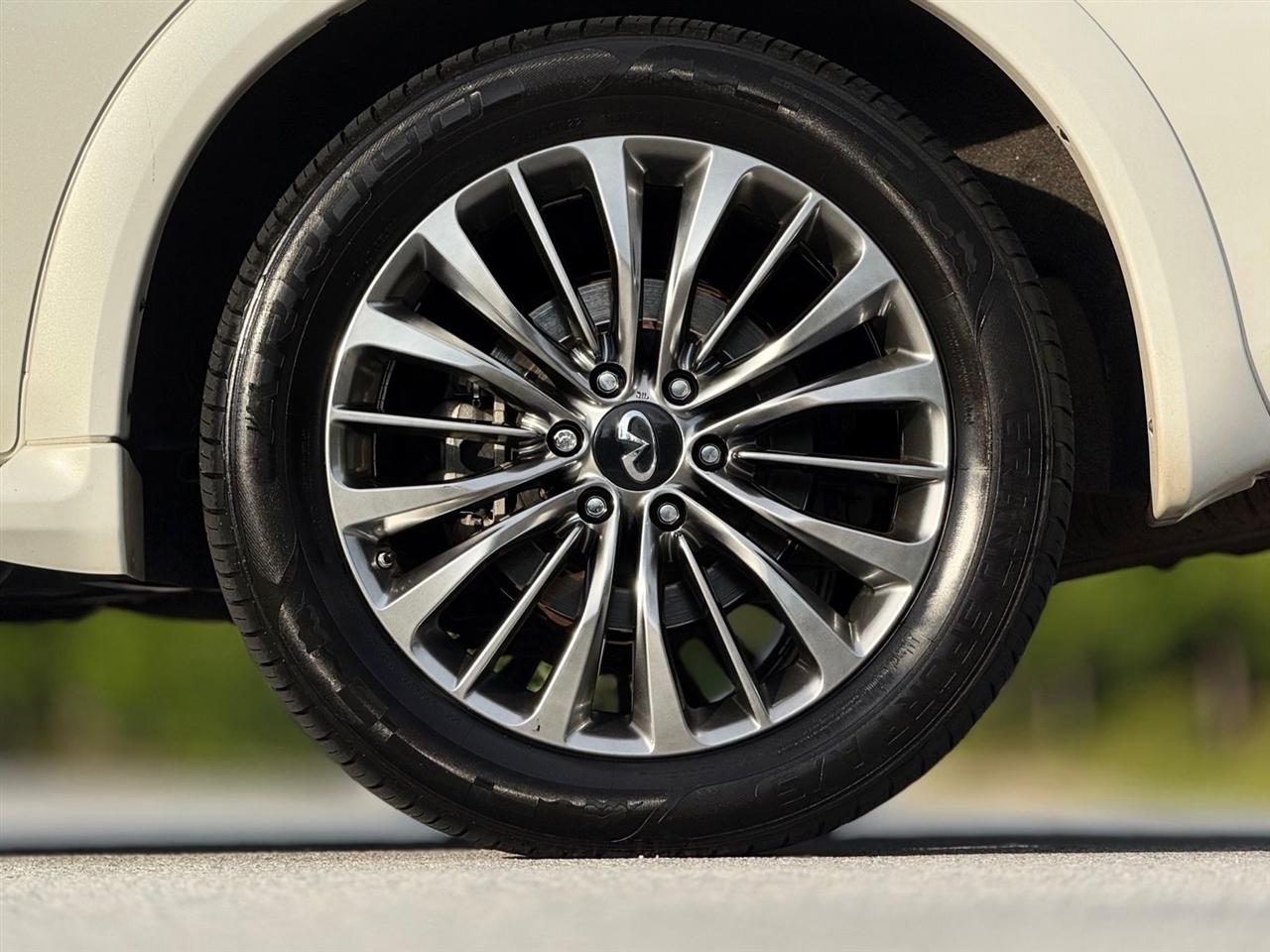 Infiniti QX80  2019
