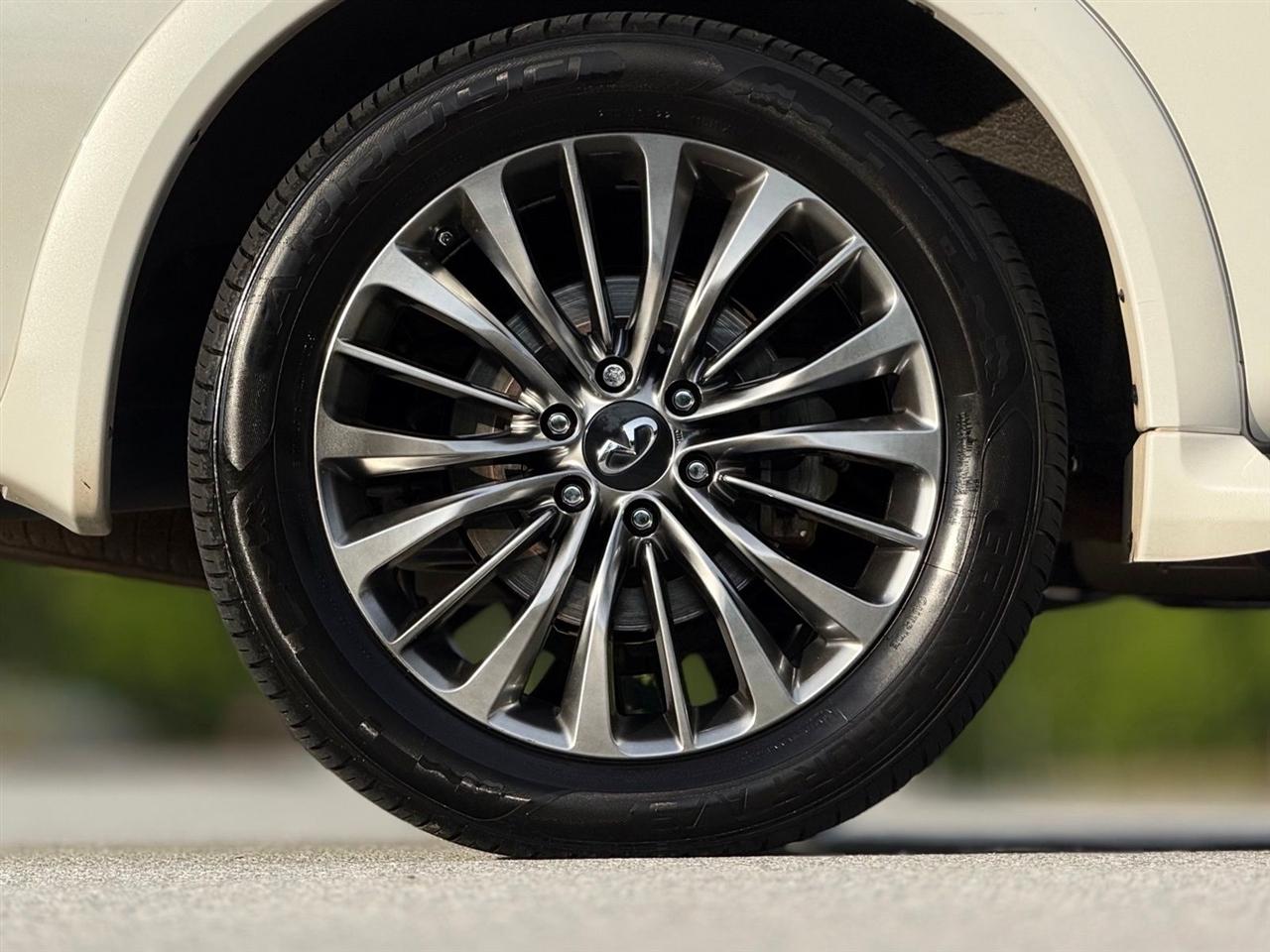 Infiniti QX80  2019