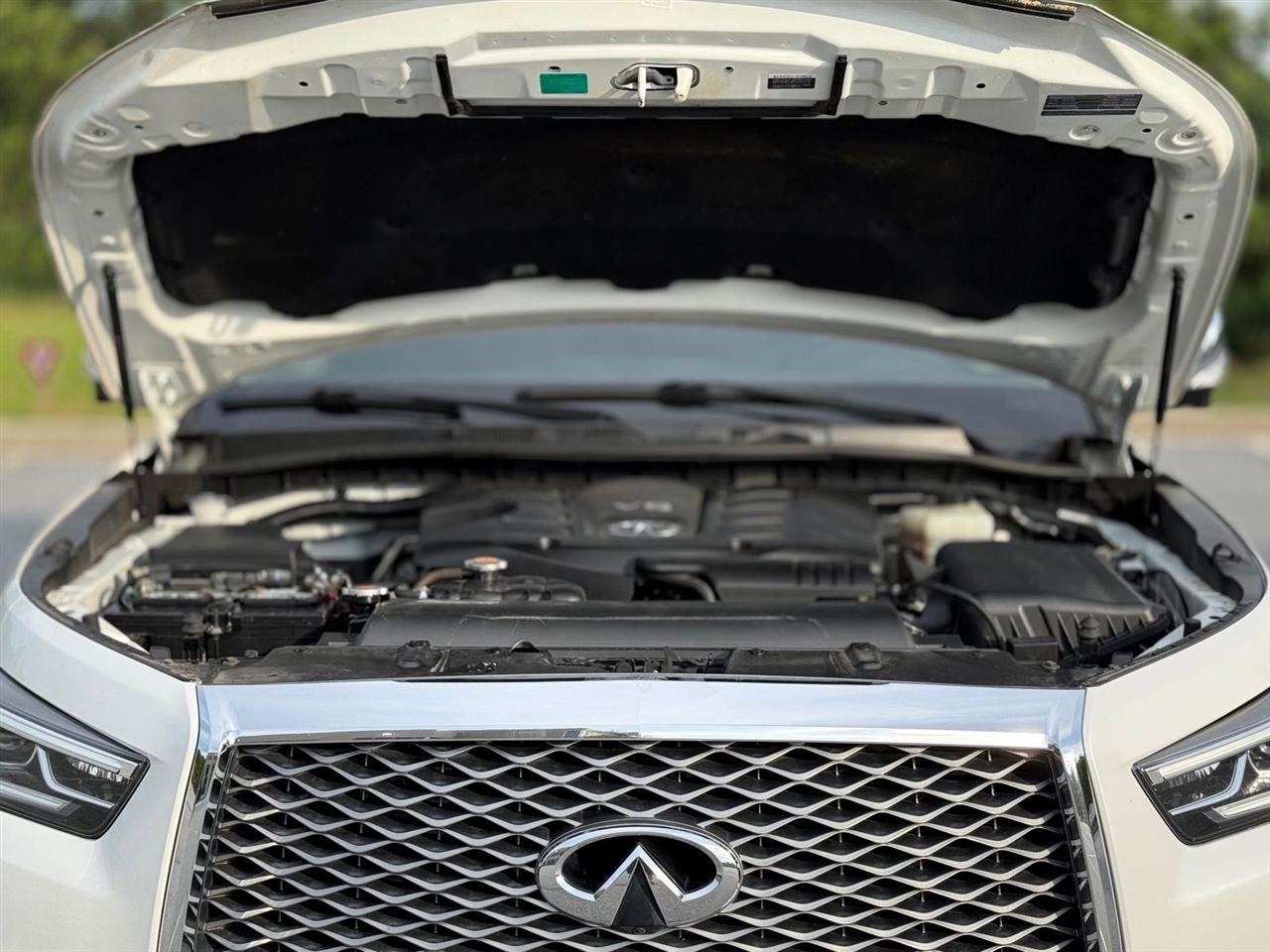 Infiniti QX80  2019