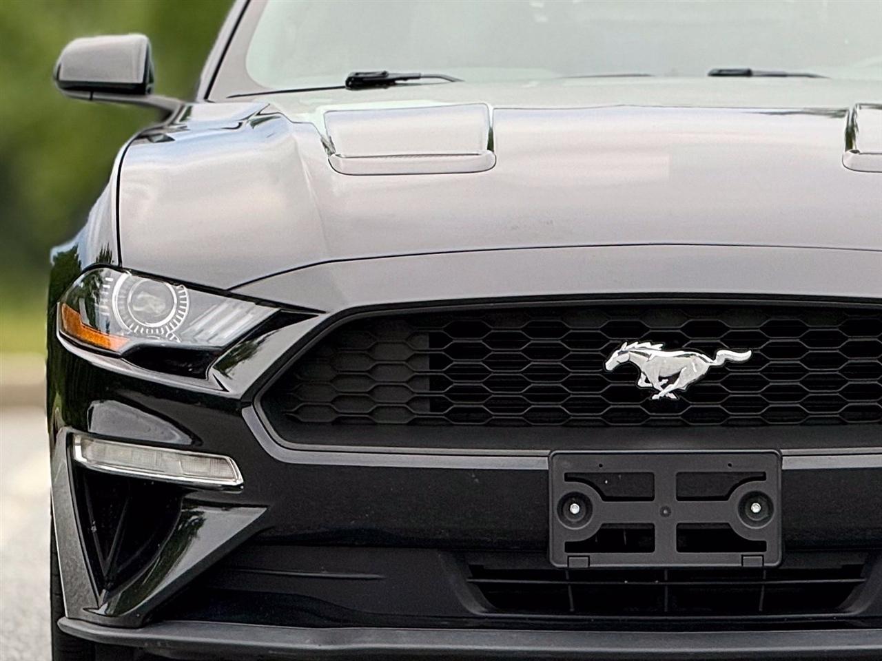 Ford Mustang  2019